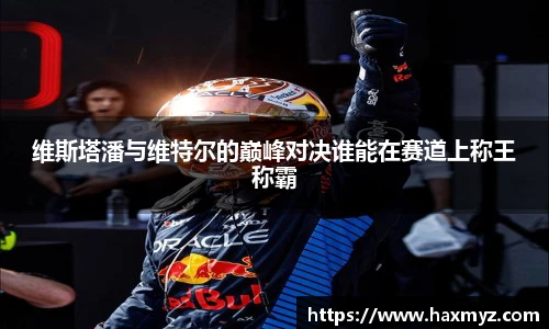 维斯塔潘与维特尔的巅峰对决谁能在赛道上称王称霸